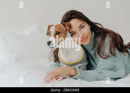 Image de la belle dame brune penche à la pedigree Jack russel terrier, embrasse l'animal avec amour, passer du temps ensemble, s'allonger sur des draps blancs. Les gens, ani Banque D'Images