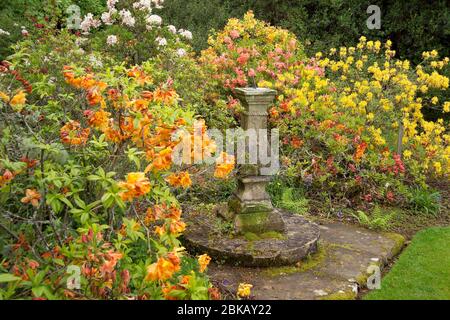 Police ornementale dans le jardin du château de Brodick Banque D'Images