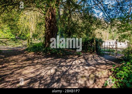 Le chemin de long-distance du Monarch passe devant l'église baptiste de St Jean, Findon, dans le parc national de South Downs, West Sussex, Angleterre, Royaume-Uni. Banque D'Images