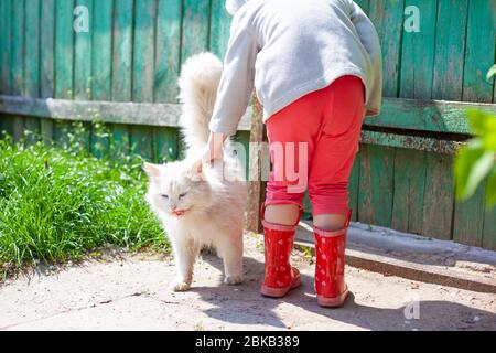 petite fille qui a un chat blanc moelleux, amitié des enfants avec les animaux de compagnie. Banque D'Images