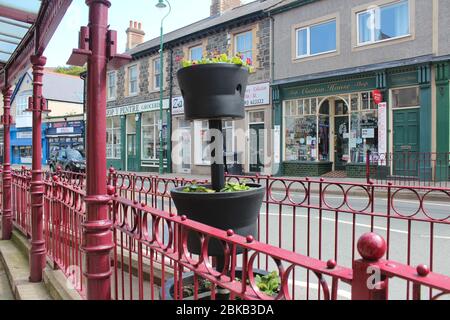 Penmaenmawr est une petite ville et communauté de Conwy County North Wales crédit : Mike Clarke / Alamy stock photos Banque D'Images