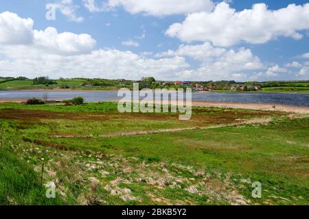 Fjord Hjarbæk/Hjarbaek, Viborg, Danemark Banque D'Images