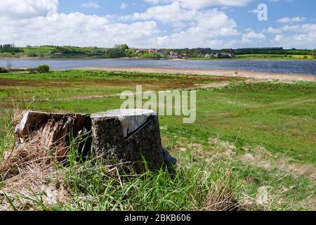 Fjord Hjarbæk/Hjarbaek, Viborg, Danemark Banque D'Images