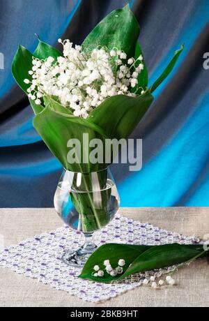 Un bouquet de délicats lilas blancs de la vallée dans un support en verre sur une serviette en dentelle contre un rideau de soie bleu. Toujours vie de printemps blanc parfumé f Banque D'Images