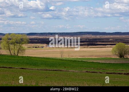 Après 2020 feu de forêt dans le parc national de Biebrza, Podlasie, Pologne. Six mille hectares de forêts et de prairies ont déjà brûlé Banque D'Images