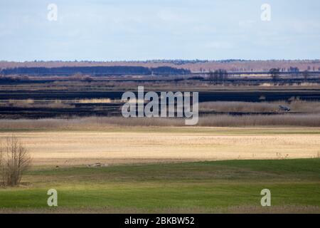 Après 2020 feu de forêt dans le parc national de Biebrza, Podlasie, Pologne. Six mille hectares de forêts et de prairies ont déjà brûlé Banque D'Images