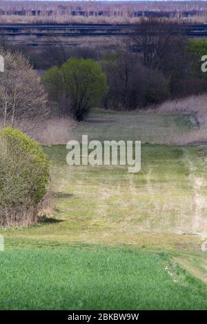 Après 2020 feu de forêt dans le parc national de Biebrza, Podlasie, Pologne. Six mille hectares de forêts et de prairies ont déjà brûlé Banque D'Images