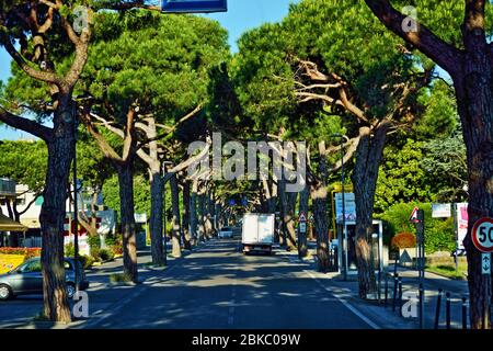 Vue estivale depuis la route Strada provinciale Jesolana-SP42 depuis le port de Punta Sabbioni, au lagon de Venise, jusqu'à Lido di Jesolo, ville métropolitaine de Venise Banque D'Images