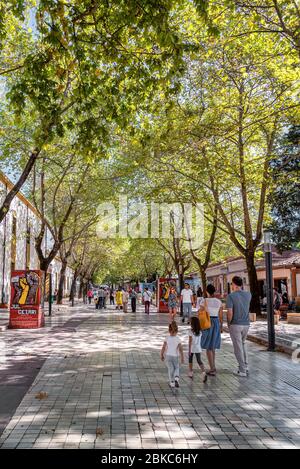 Une des rues piétonnes les plus populaires de la ville avec des arbres à Tirana, en Albanie. Des personnes non identifiées qui marchent le long de la rue près du centre commercial moderne. Banque D'Images