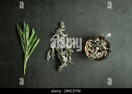 Tisane avec sauge fraîche et sèche. Un mode de vie sain. Protection contre la maladie. Ingrédients frais pour le thé antioxydant. Concept de Flat Lay, vue de dessus. Banque D'Images