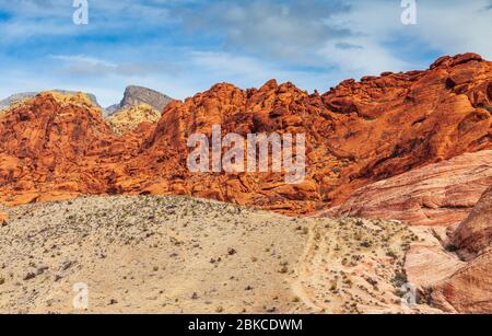 Calico Hills dans la zone de conservation nationale du Red Rock Canyon, au Nevada, près de Las Vegas. Banque D'Images