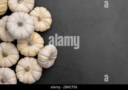 Citrouilles blanches sur fond noir. Vue de dessus de petits citrouilles de style d'automne pour bannière web, modèle et publicité. Banque D'Images