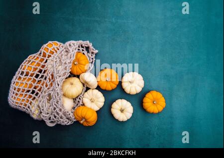 Citrouilles orange et blanches dans un sac à provisions en filet sur fond de pierre bleu foncé. Vue de dessus des petits citrouilles naturelles et biologiques fraîchement récoltées Banque D'Images