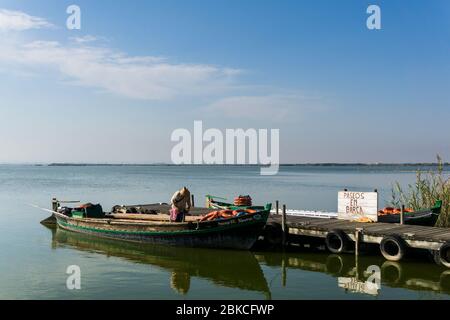 Bateaux de pêche valenciens traditionnels au lac du Parc National d'Albufera, Valence, Espagne Banque D'Images