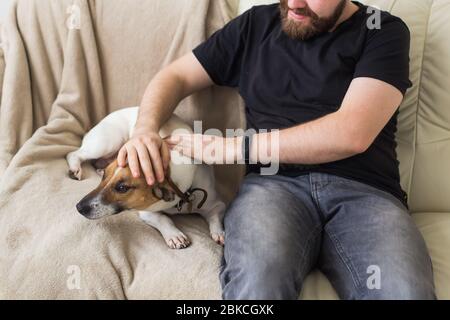 Gros plan d'un homme dans un t-shirt décontracté assis sur un canapé, animal préféré. Joyeux barbu avec son Jack russell terrier. Concept de propriétaire d'animal de compagnie. Banque D'Images