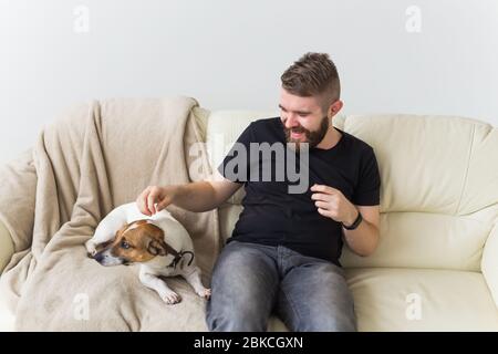 Attrayant gai caucasien mâle dans une chemise décontractée assis sur le canapé animal préféré. Joyeux barbu avec son Jack russell terrier. Propriétaire de l'animal Banque D'Images