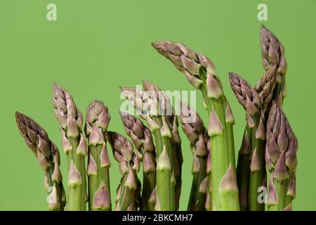 Asperges vertes fraîches sur fond vert, vue rapprochée Banque D'Images