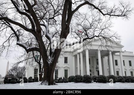 Neige couvre les buissons vendredi 1er février 2019, à l'extérieur de l'entrée du North Portico de la Maison Blanche. Hiver Météo à la Maison Blanche Banque D'Images