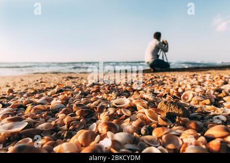 Des coquillages sur la mer Méditerranée sur le sable et flou jeune photographe de l'arrière avec trépied et appareil photo et ciel bleu sur fond. Beaucoup de seashel orange Banque D'Images