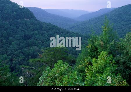 Vue sur Millikan, parc national de Fall Creek Falls, Tennessee Banque D'Images