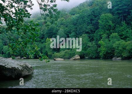 Grand Sud le long de la fourche Angel Falls Trail, Grand Rapids South Fork River National, New York Banque D'Images