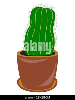 Dessin plat d'un cactus. Installation domestique. Cactus vert dans un pot. Isolé, blanc . Illustration Banque D'Images