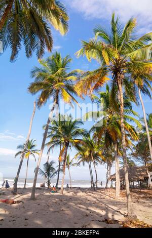 Palomino - Colombie, 20. Février 2020: Palomino petite ville de plage sur la côte nord des Caraïbes. Avec son atmosphère détendue, c'est pratiquement un Banque D'Images