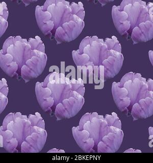 Motif vectoriel sans couture avec tulipes. Texture sans couture avec tulipes violettes. Illustration de Vecteur