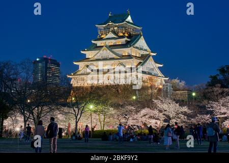 Osaka / Japon - 28 mars 2018 : personnes qui profitent de la vue nocturne des cerisiers en fleurs yozakura et pique-nique dans le jardin Nishinomaru du château d'Osaka, Osaka, Banque D'Images