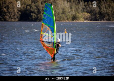 L'homme australien planche à voile sur le lac narrabeen à Sydney, le jour d'automne venteux, Sydney, Nouvelle-Galles du Sud, Australie Banque D'Images