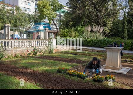 Athen, Grèce. 04 mai 2020. Un jardinier fleurit dans le jardin national après qu'il soit ouvert au public à nouveau. En Grèce, les citoyens ont pu quitter leur maison sans restrictions depuis lundi, mais ne sont pas autorisés à se rendre dans une autre préfecture. Les salons de coiffure, les magasins électriques et les librairies s'ouvrent à nouveau. Les masques seront obligatoires dans les transports en commun, dans les ascenseurs et les hôpitaux et dans les opérations chirurgicales des médecins à partir de lundi. Crédit: Socrates Baltagiannis/dpa/Alay Live News Banque D'Images