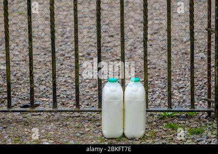 Lait livré à l'extérieur de la porte d'entrée dans une maison du Sud Lanarkshire, en Écosse. Banque D'Images