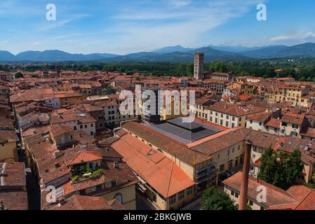 Vue aérienne de la petite ville médiévale de Lucques, Toscane Toscana , Italie, Europe. Vue depuis la tour Guinigi Banque D'Images