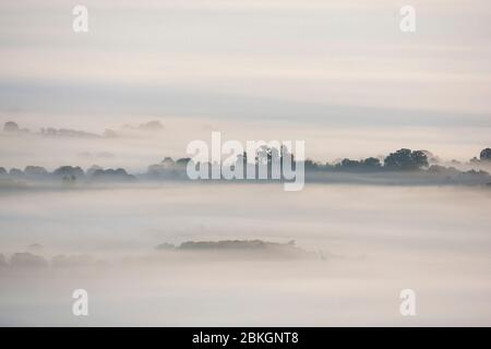 Brume matinale qui se balade dans la campagne du Worcestershire. Angleterre, Royaume-Uni Banque D'Images