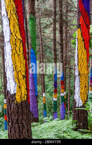 Bosque Pintado à Durangaldea, Espagne Banque D'Images