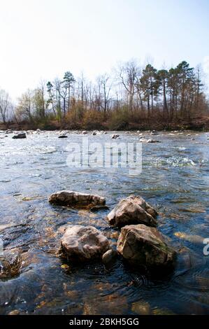 eau de rivière transparente et pierres sur le fond, arbres buissons derrière. Site touristique sur la nature. Banque D'Images