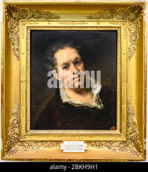 Autoportrait de Francisco José de Goya y Lucientes, peint en 1815 à l'âge de 69 ans. À l'Académie royale des beaux-arts de San Fernando, Madrid, Spa