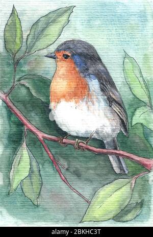 Petit oiseau mignon sur un arbre, aquarelle Banque D'Images