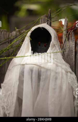 Halloween effrayante observation fantôme dans le tissu de wihte. Fantôme effrayant sur un arrière-plan flou. Décoration fantôme dans un jardin. Banque D'Images