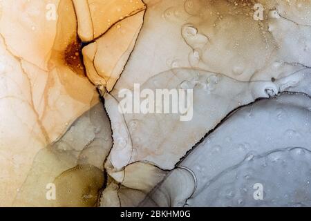 Arrière-plan abstrait de texture de surface planétaire. Illustrations à l'encre alcoolisée. Art contemporain moderne. Texture à l'encre d'alcool peinte à la main Banque D'Images