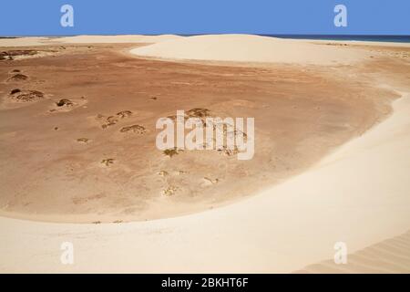 Dunes derrière le désert à Praia de Santa Mónica, plage de sable sur l'île de Boa Vista, archipel Cap-Vert / Cap-Vert dans l'océan Atlantique Banque D'Images