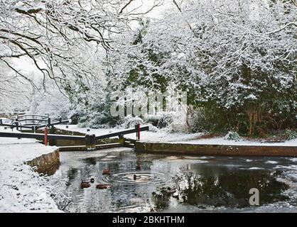 Le canal de Basingstoke dans le sud de l'Angleterre en hiver Banque D'Images