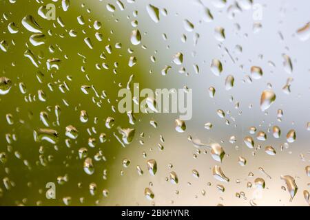 Grosses gouttes de pluie sur le pare-brise de la voiture. Vue intérieure. Photo sélective. Banque D'Images