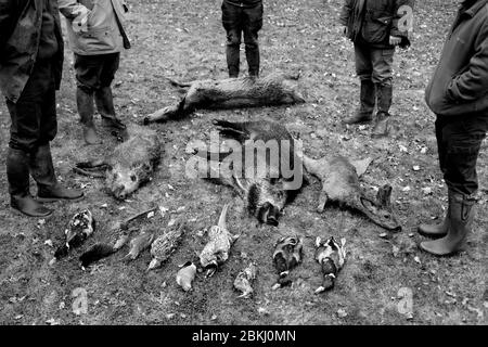 France, Indre et Loire, Vernou sur Brenne, table de chasse de Vuitonnière, zone de chasse Banque D'Images