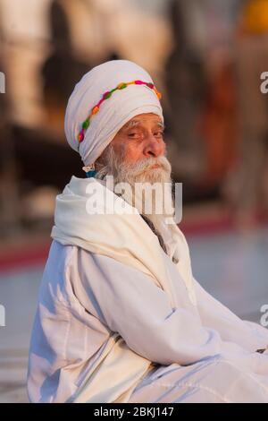 Inde, État du Pendjab, Amritsar, Harmandir Sahib, portrait d'un Sikh dans la méditation, lieu Saint du sikhisme Banque D'Images