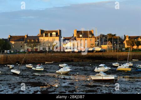 La France, Finistère, Roscoff, port à marée basse Banque D'Images