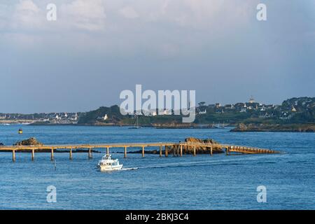 France, Manche, mer d'Iroise, Roscoff, l'île de Batz en arrière-plan, de l'embarquement pour l'île de Batz la passerelle Banque D'Images