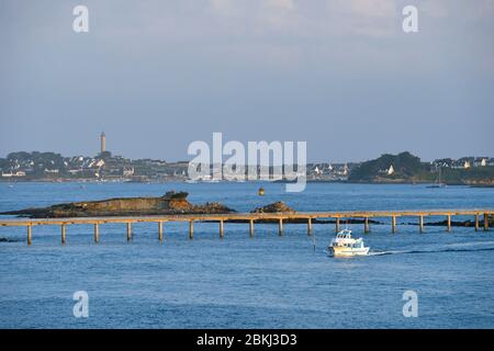 France, Manche, mer d'Iroise, Roscoff, l'île de Batz en arrière-plan, de l'embarquement pour l'île de Batz la passerelle Banque D'Images