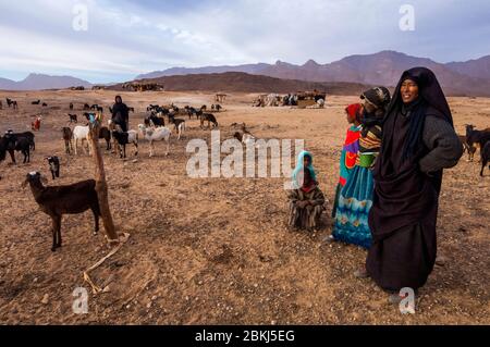 Algérie, Tamanrasset, Hoggar Sahara, massif du Tefedest noir, camp nomade du clan Ajaj Banque D'Images