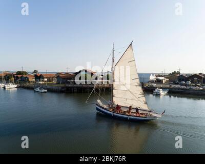 France, Gironde, bassin d'Arcachon, Gujan-Mestras, port huître de Larros, l'Argo II, bateau à voile sardine traditionnel dans la baie d'Arcachon Banque D'Images